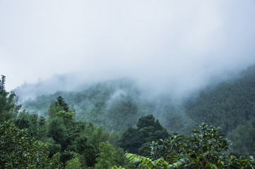 地藏圣号念诵正确念法